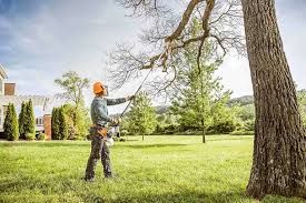 Mulching Services in West Rancho Dominguez, CA